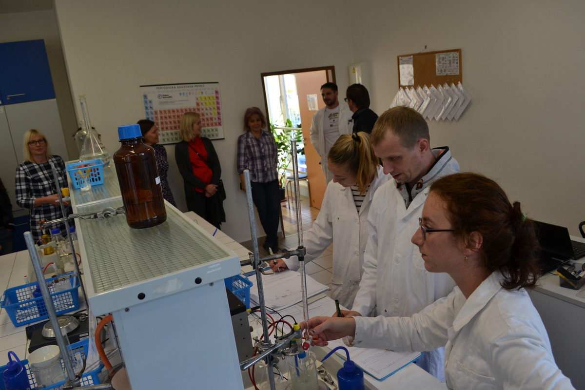 Partners observing experiment in laboratory