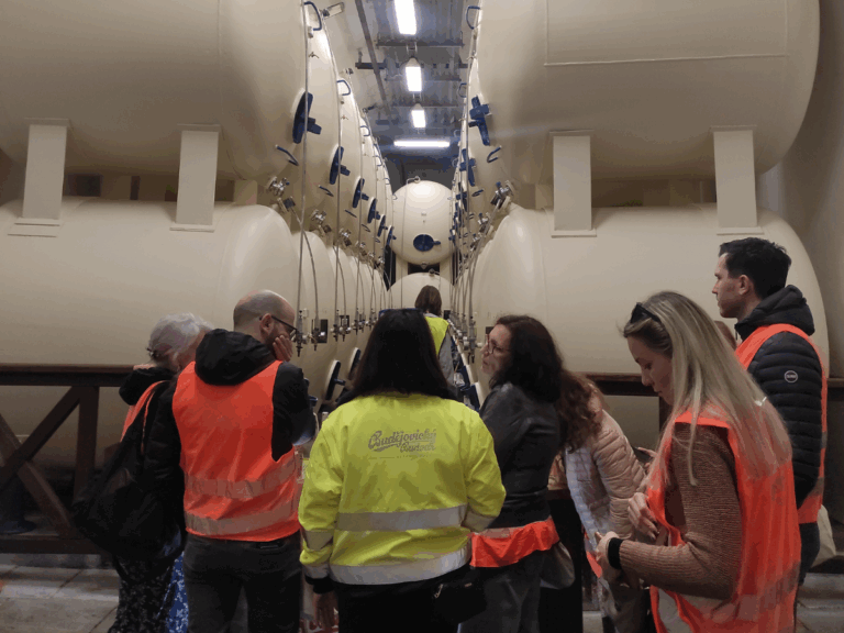 Sampling fresh Budweiser beer straight from the cellar tanks during the brewery tour - a true taste of local tradition.