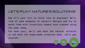 Nature's Solutions Biomimicry in Engineering Activity
