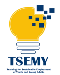 TSEMY-logo