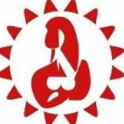 wised-logo